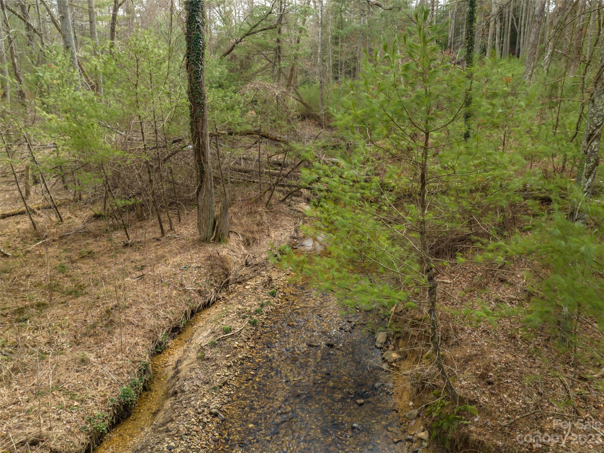 Biltmore Forest - Land