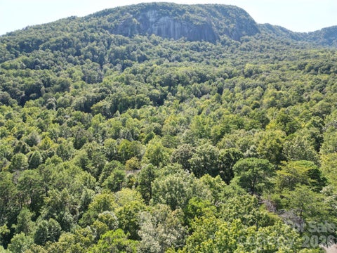 Photo of Lot 124, 125, & 101 Banjo Court, Lake Lure, NC 28746 (MLS # 4425078)