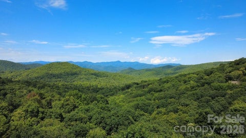 Photo of LT C28 Lodgepole Trail, Glenville, NC 28739 (MLS # 4411893)