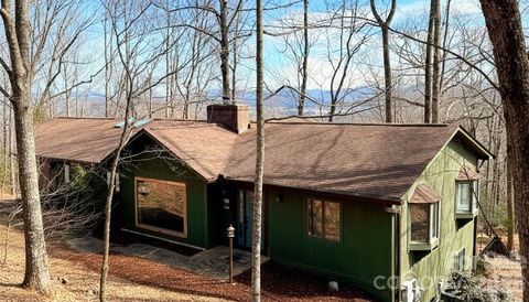 11 Poplar Drive Mills River NC 28759