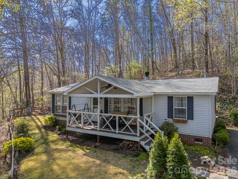 243 Buffalo Creek Road Lake Lure NC 28746