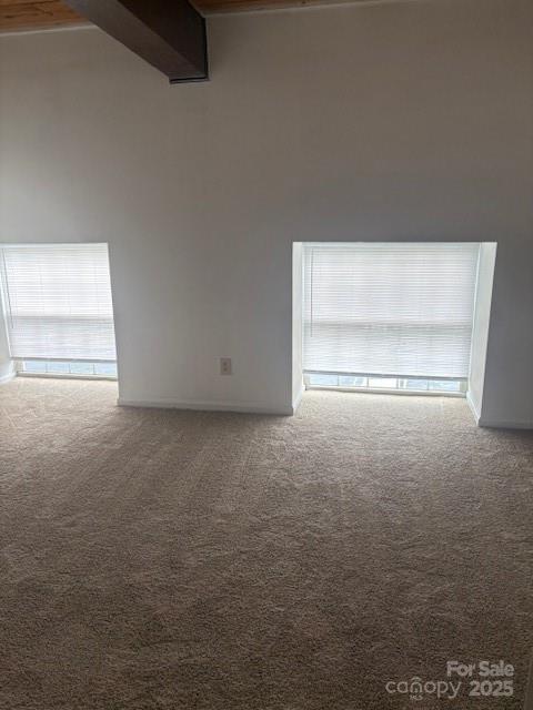 Locke Mill Plaza - Residential