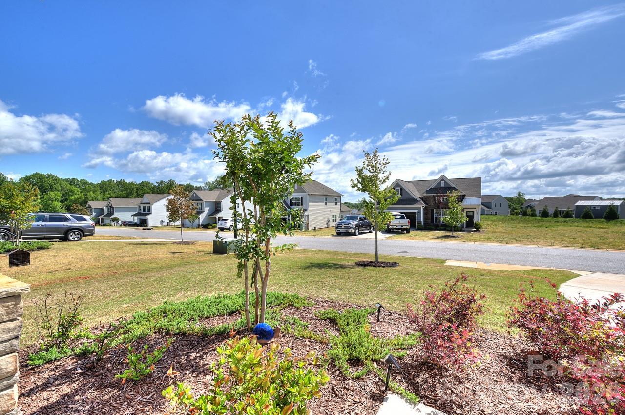 New Cut Meadows - Residential