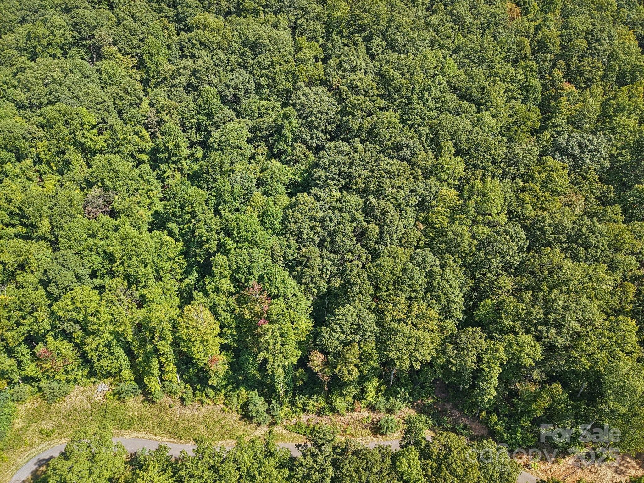 000 Biltmore View Drive 10