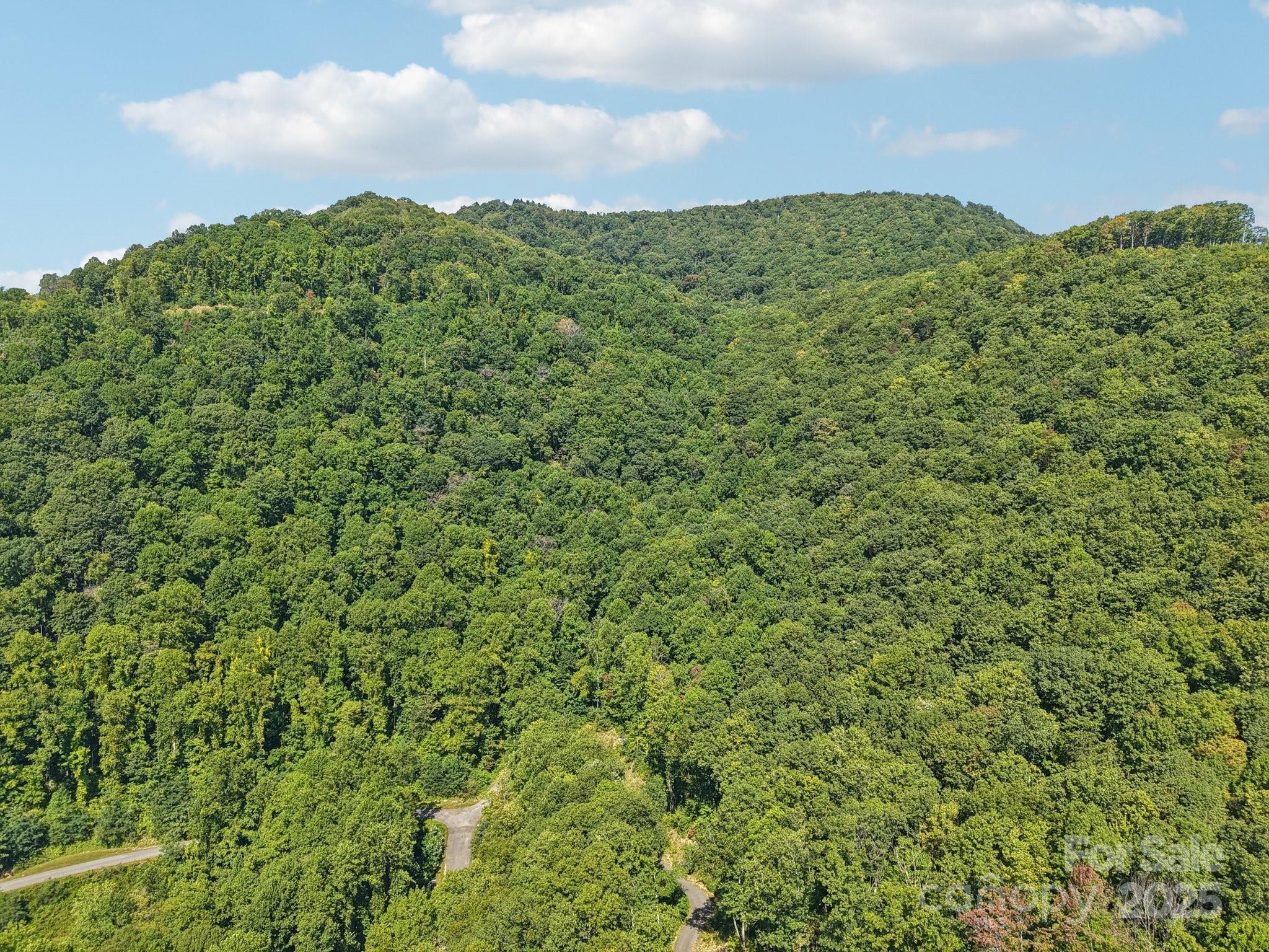 000 Biltmore View Drive 10