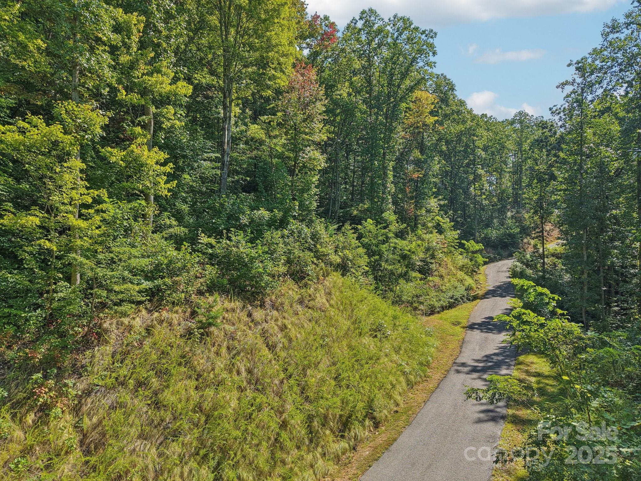 The Summit of Asheville - Land