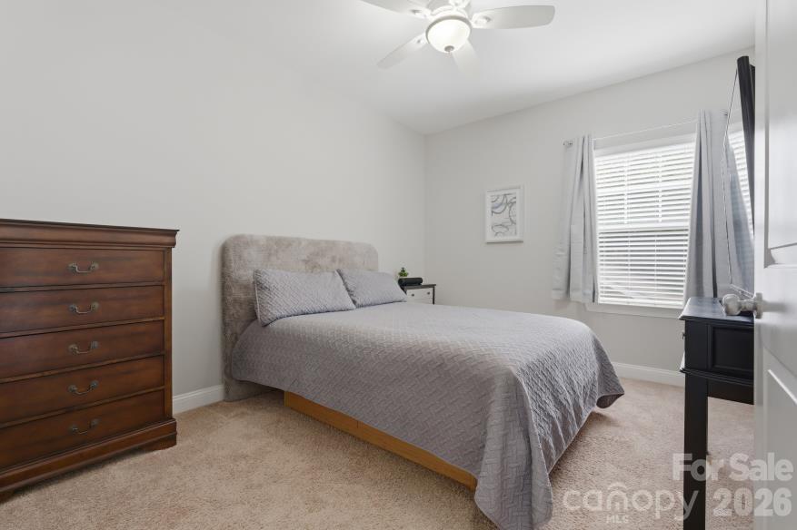 Brookline - Residential