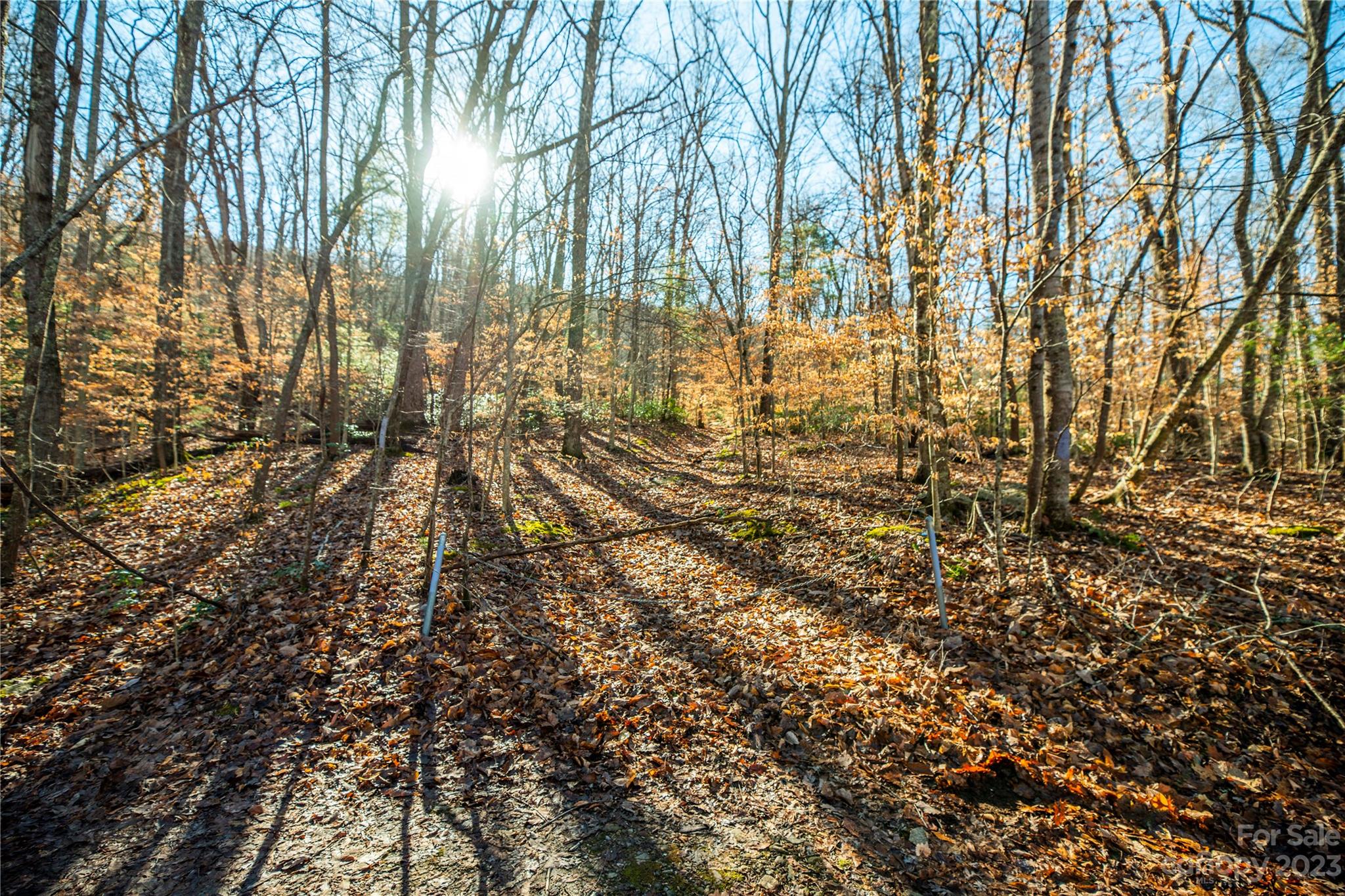 TBD Webb Cove Road