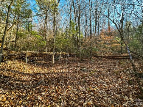 TBD Webb Cove Road Asheville NC 28804
