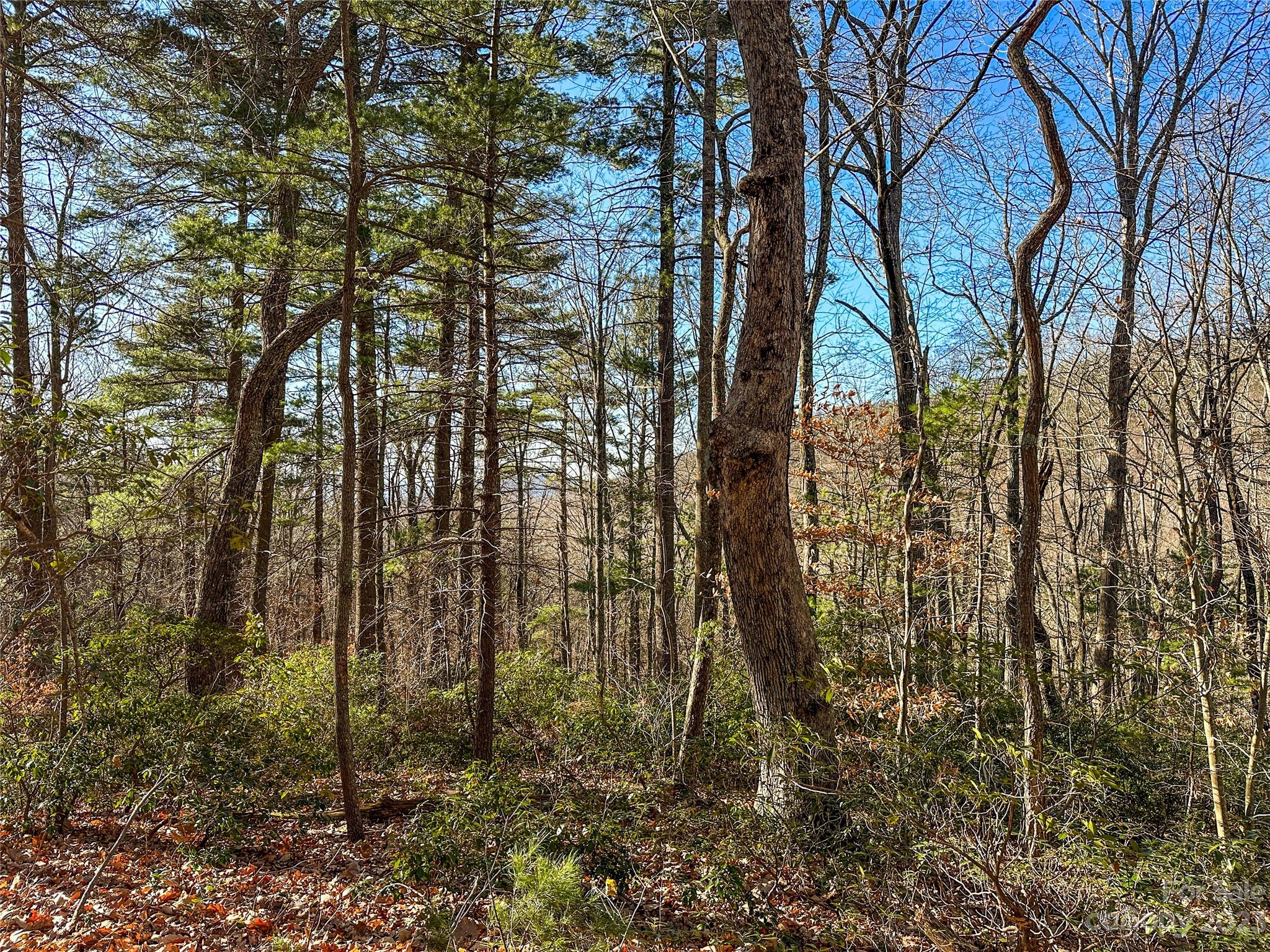 TBD Webb Cove Road