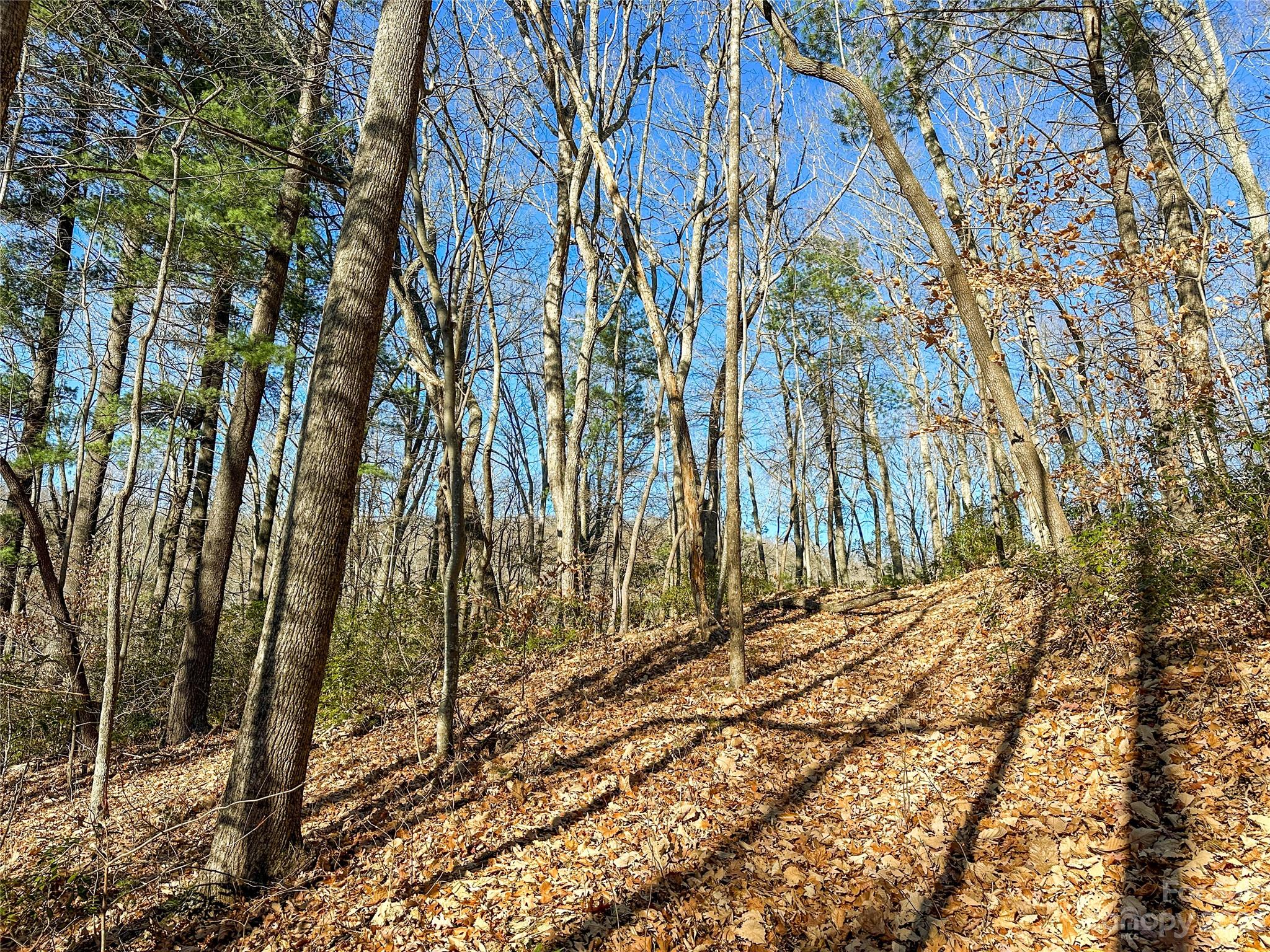 TBD Webb Cove Road