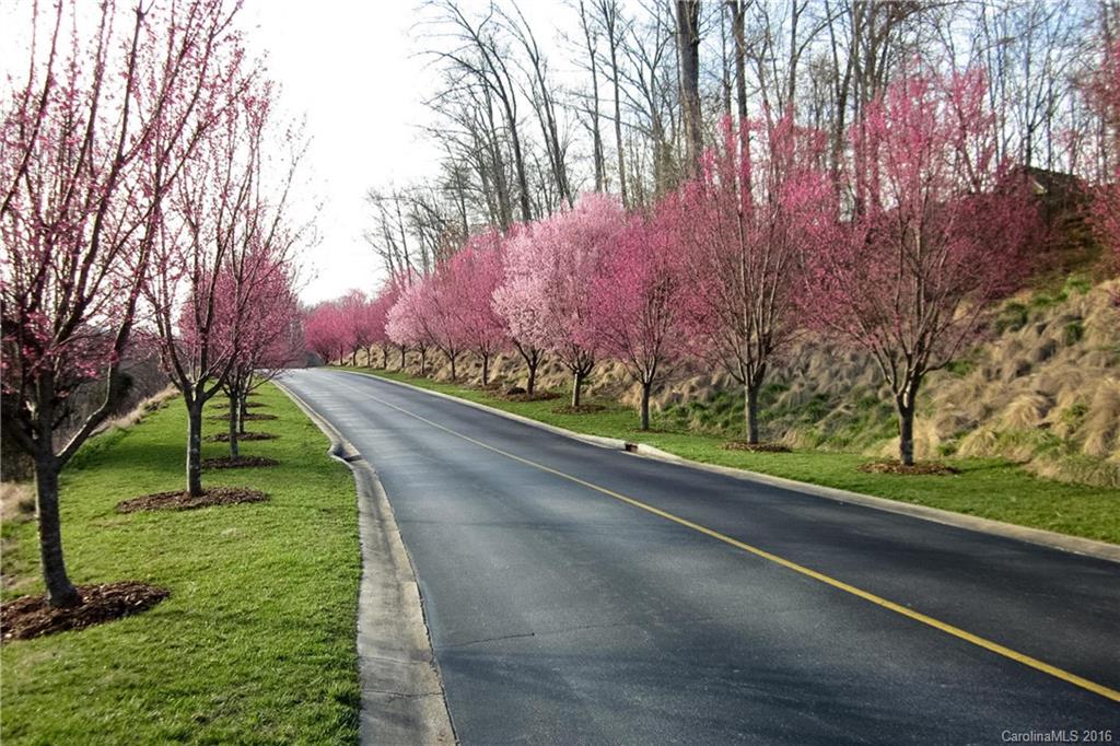 Biltmore Commons - Residential