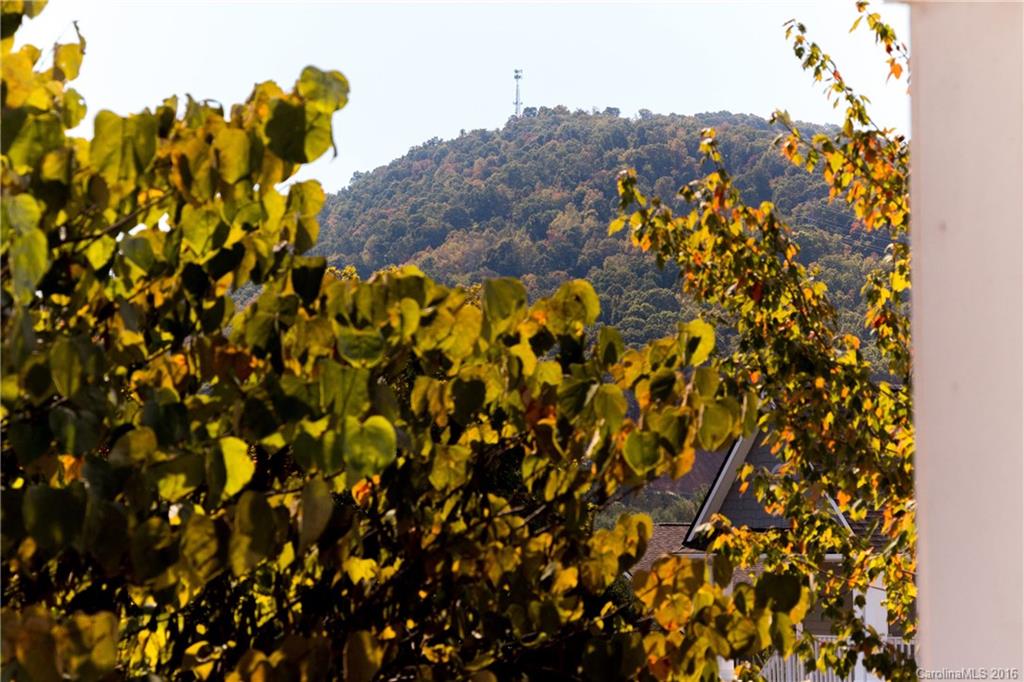 Biltmore Commons - Residential