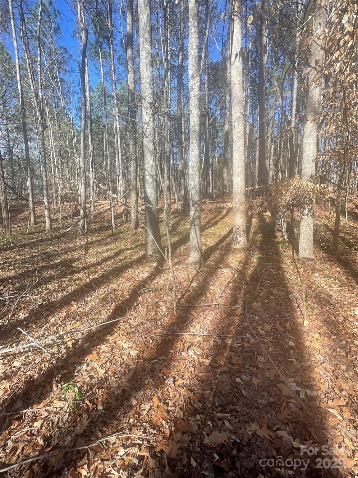 Lake Norman Air Park - Land