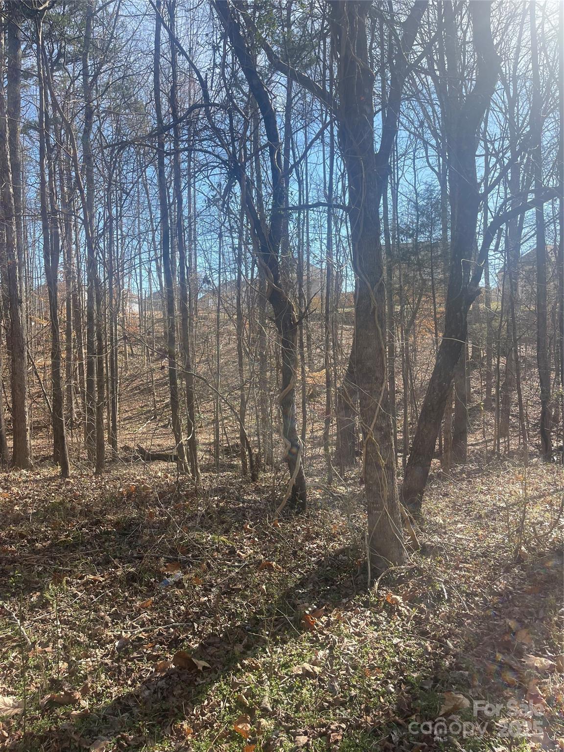 Lake Norman Air Park - Land