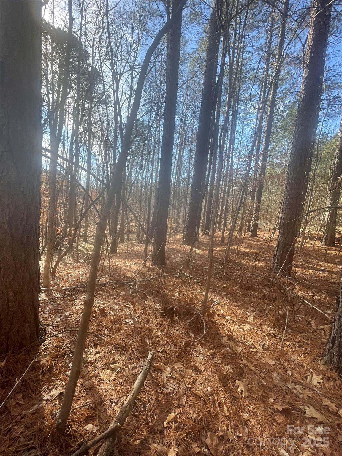 Lake Norman Air Park - Land