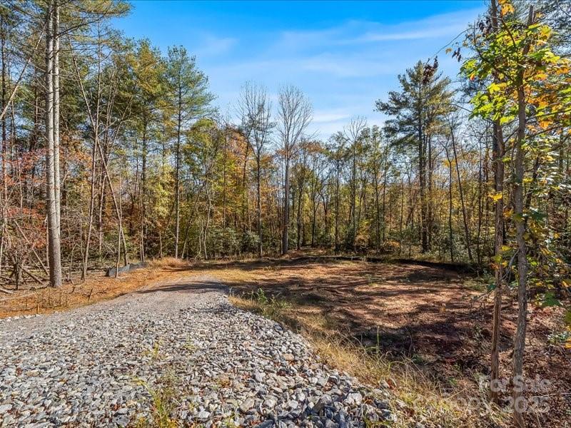 304 Winding Creek Drive