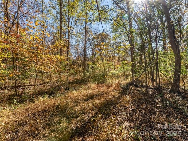 Winding Creek - Land