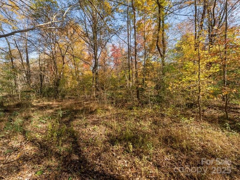 Winding Creek - Land