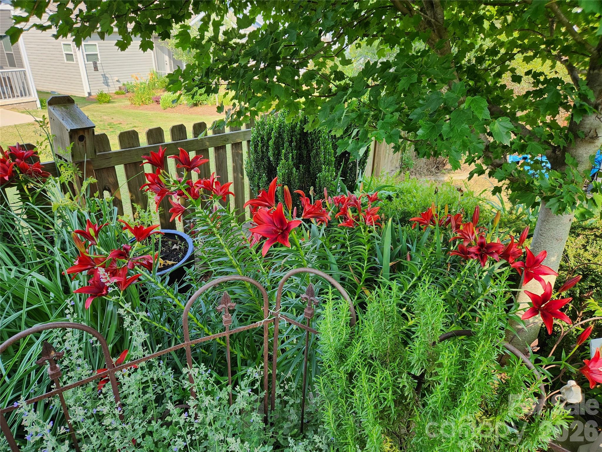 Cottages at Landrum - Residential