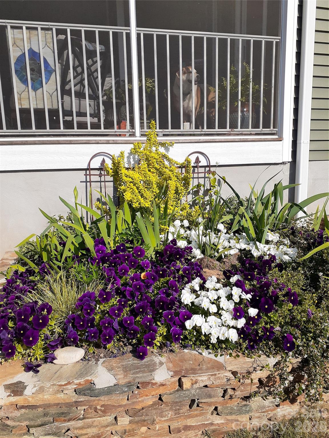 Cottages at Landrum - Residential