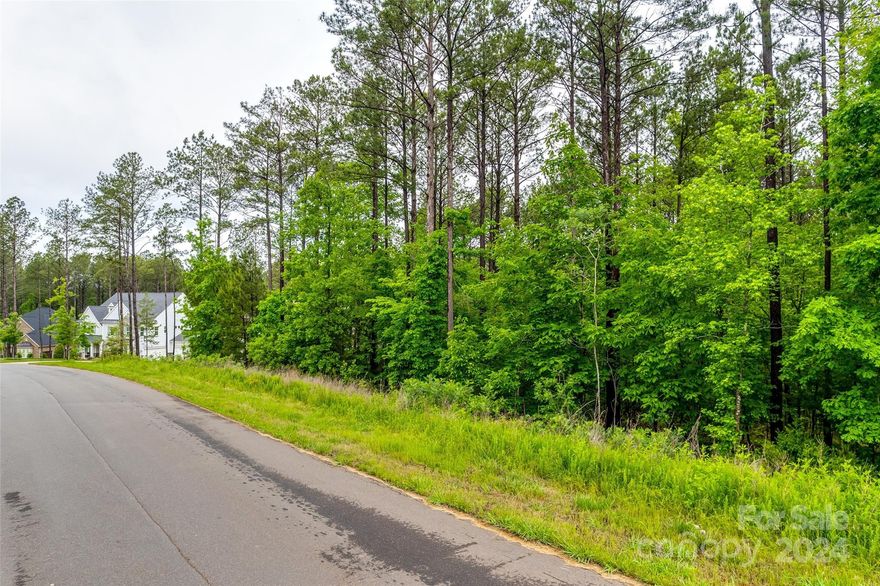 Land is the real estate everyone has been looking for! Seize your chance and an opportunity of a lifetime with this perfect 1.02 acre lot in the prestigious Riverchase Estates community! Nestled among stunning mature trees and offering beautiful views, this heavily wooded lot is a rare gem waiting for your custom dream home. Located just a short distance from the clubhouse, you'll enjoy the convenience of this prime location. With low taxes, easy access to 1-77, no timeline to build, and the freedom to bring your own builder, the perks of winning this slice of paradise are endless. Don't miss your chance to create the home of your dreams in the sought-after Riverchase Estates community!
