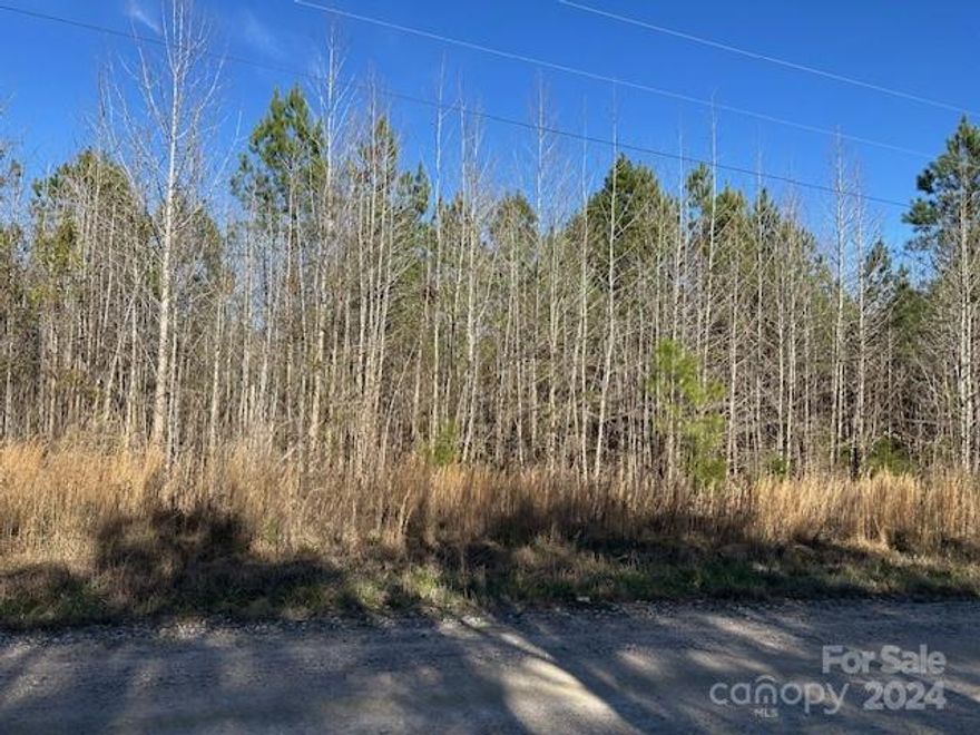 Vacant Lot ready for your new home!! This 3.272 acre wooded tract would be the perfect spot to build your new home or set up your manufactured or modular home. Enjoy your secluded location with minimal traffic and noise. This lot offers county gravel road frontage and very few neighbors with mainly larger tracts surrounding the property. Located close to the amenities of Kershaw, along with nearby schools, this is the perfect spot for your dream home.
