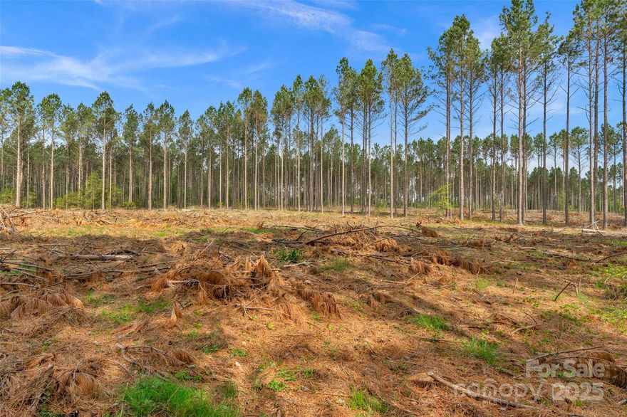 Private 5 acre flat lot in highly desirable Fort Lawn! Truly a spectacular place to live, out in the country yet close to modern amenities. With electric and fiber optic internet available, this provides convenience to any future home owner. 35 min South of Charlotte! close access from I-77 and HWY 21. Down a quiet road, this location will provide a peaceful lifestyle. Quality soil for conventional septic systems per soil engineer. With 220'+ of road frontage there are many options you to design your homestead. If you are looking for a tranquil homestead tucked back in the woods, this is the piece of land for you! Pursue building your dream home and embrace the country lifestyle. This charming property is here for you to enjoy with family and friends. Suitable for small gardens, hobby farm, and homestead activities *** Soil map available upon request. More land available for sale ***No Manufactured homes***