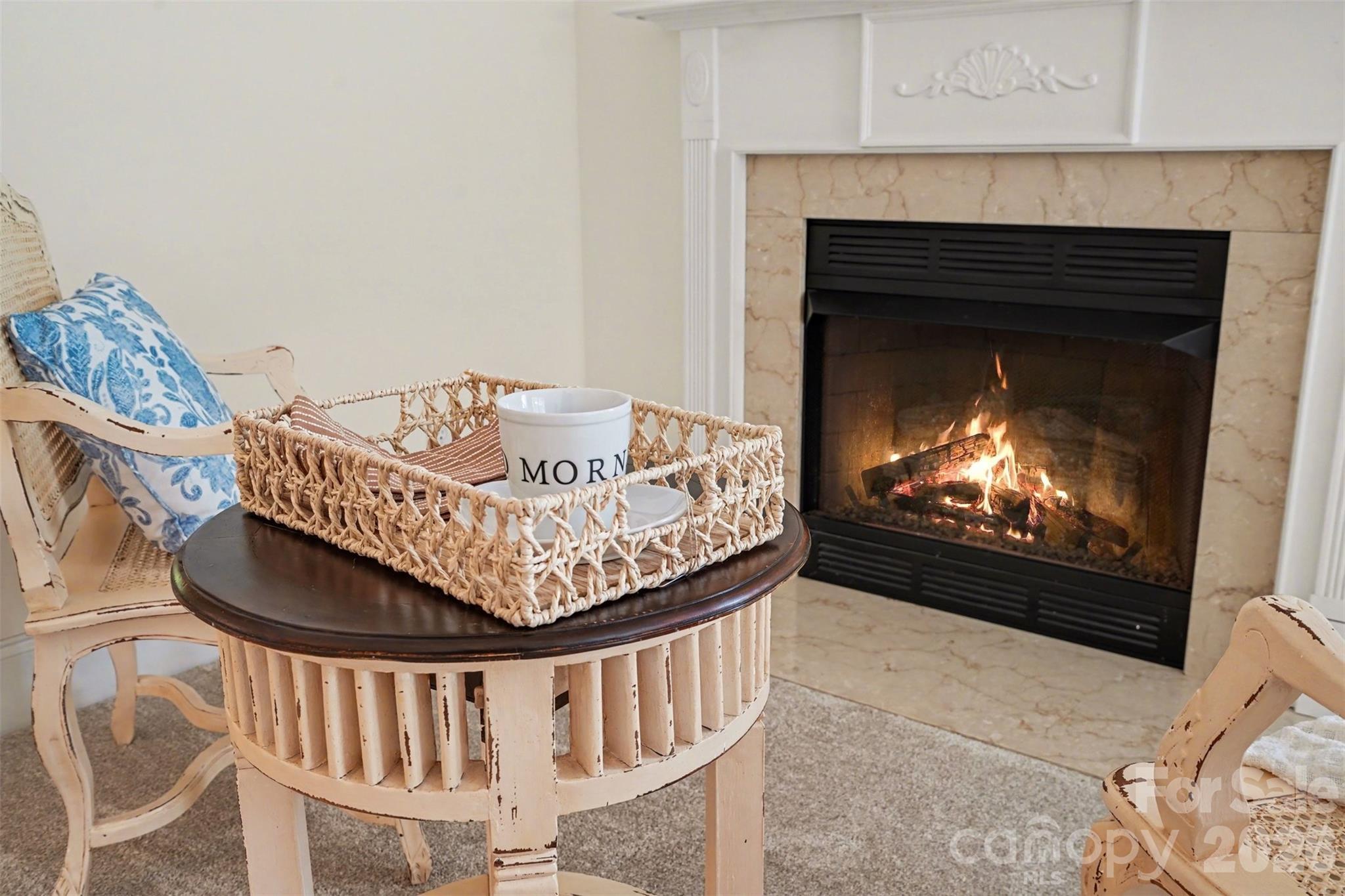 Village of Woodridge - Residential