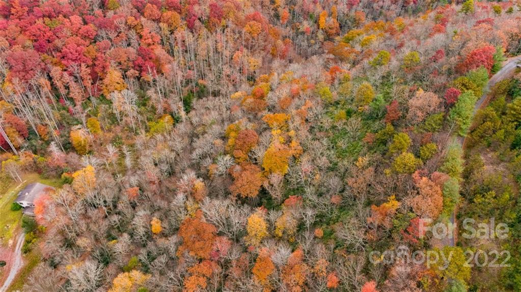 Wildflower Ridge - Land