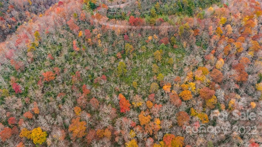 Wildflower Ridge - Land