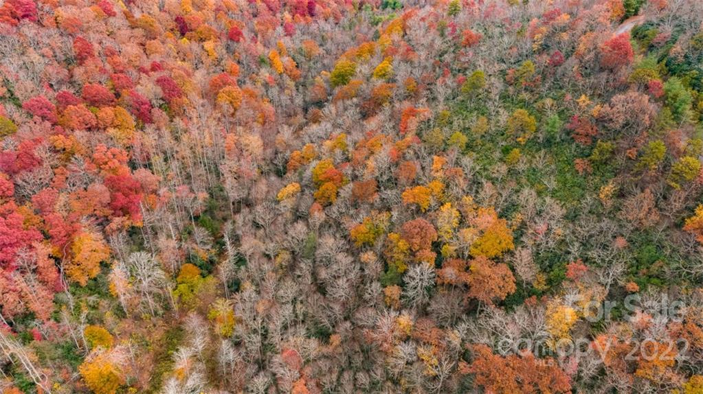 Wildflower Ridge - Land