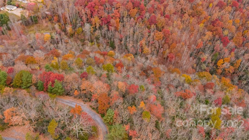 Wildflower Ridge - Land