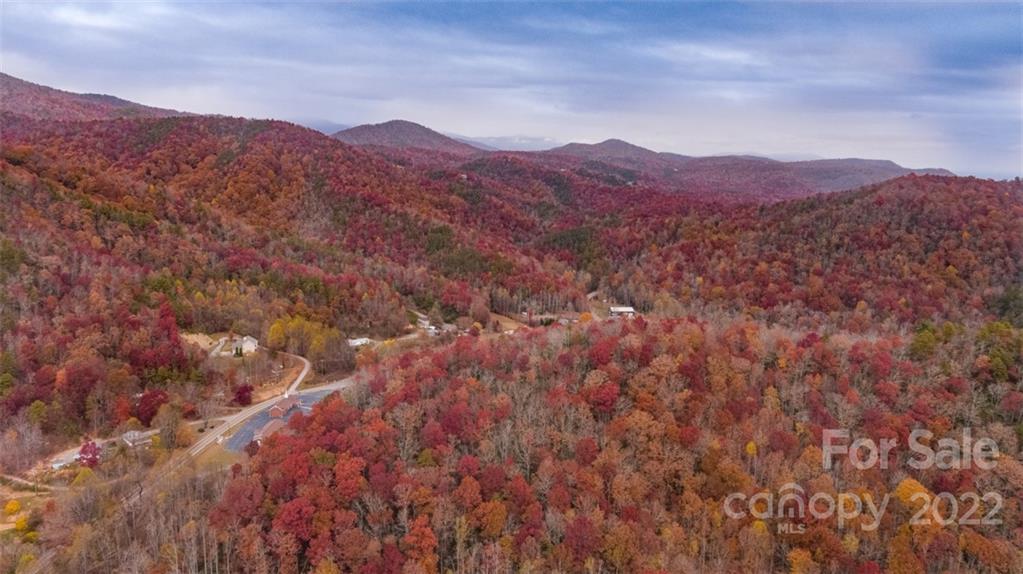 Wildflower Ridge - Land