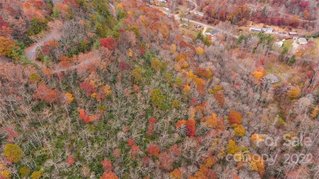 Wildflower Ridge - Land