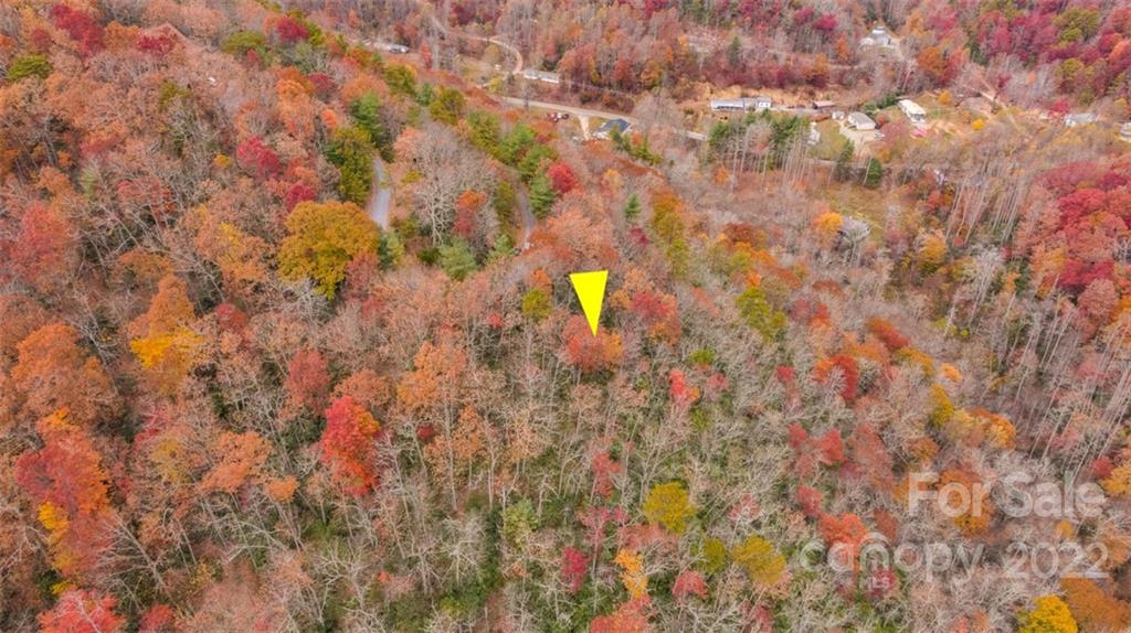 Wildflower Ridge - Land