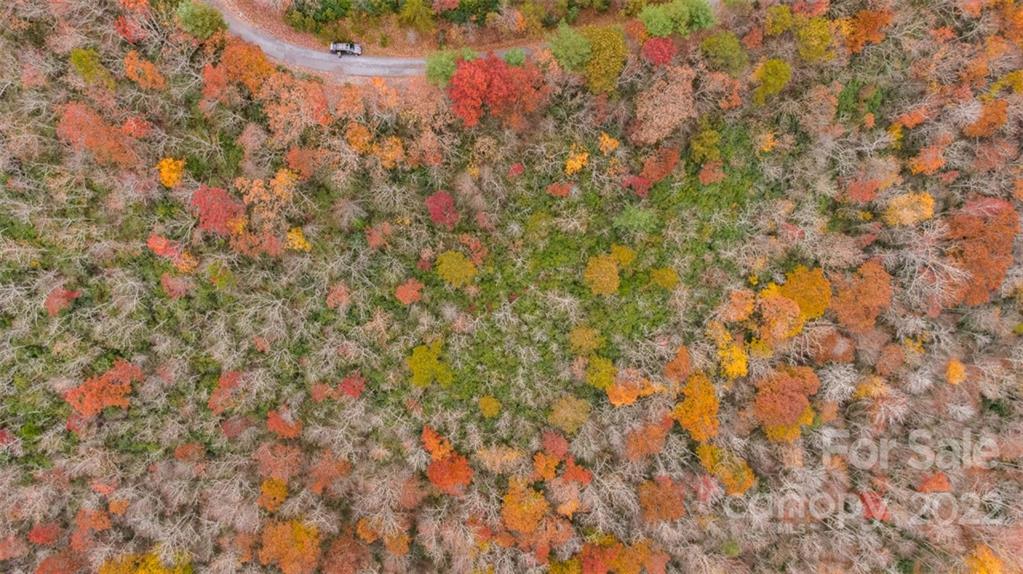 Wildflower Ridge - Land