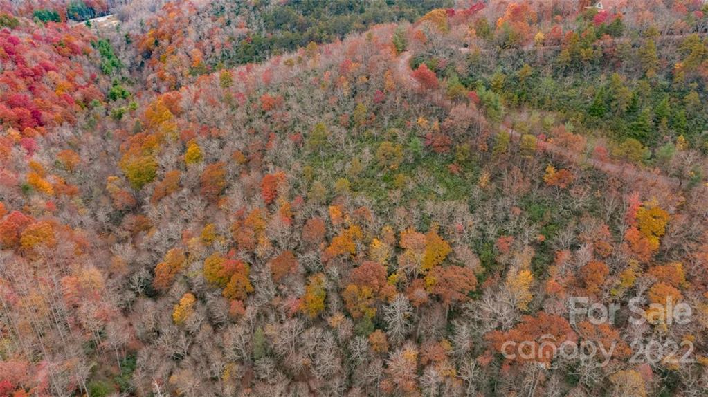 Wildflower Ridge - Land
