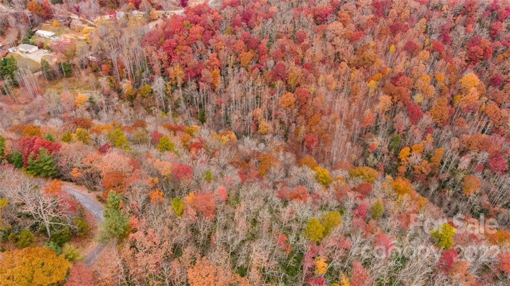 Wildflower Ridge - Land