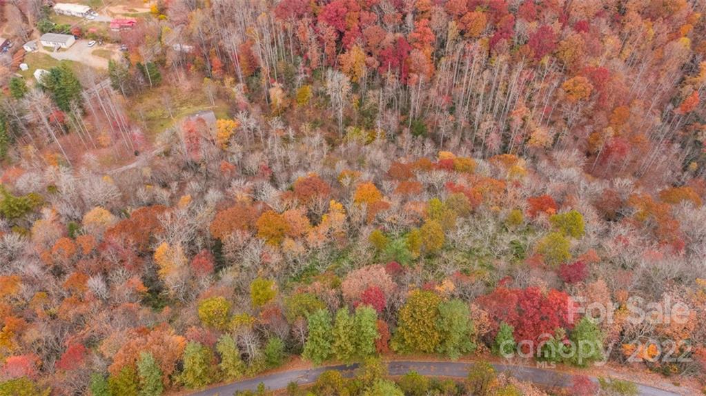 Wildflower Ridge - Land
