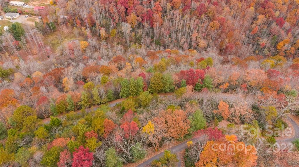 Wildflower Ridge - Land