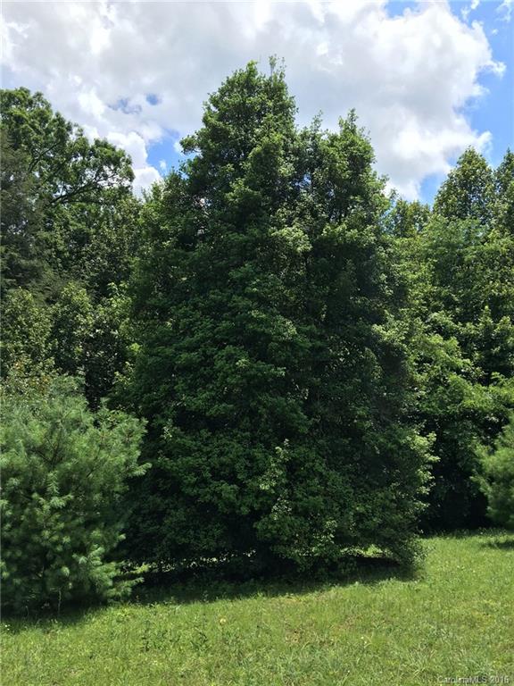 Dunroy On Rutledge - Land