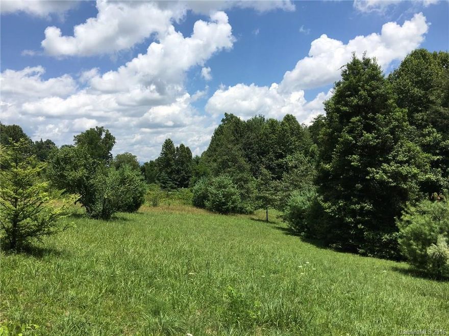 Where else can you find a gentle sloping, easy build lot, close to town, with underground utilities and in a neighborhood of fine homes for such an affordable price? Located in Dunroy on Rutledge, a wonderful community in Historic Flat Rock.