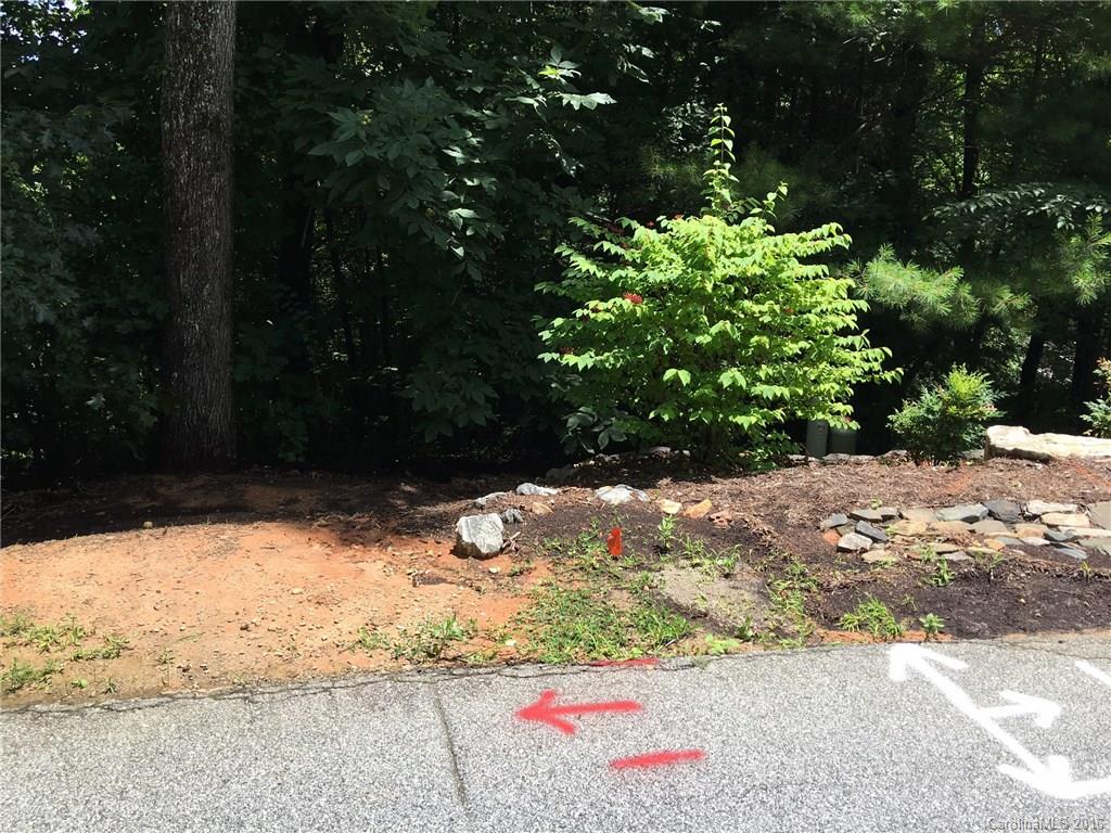 Dunroy On Rutledge - Land