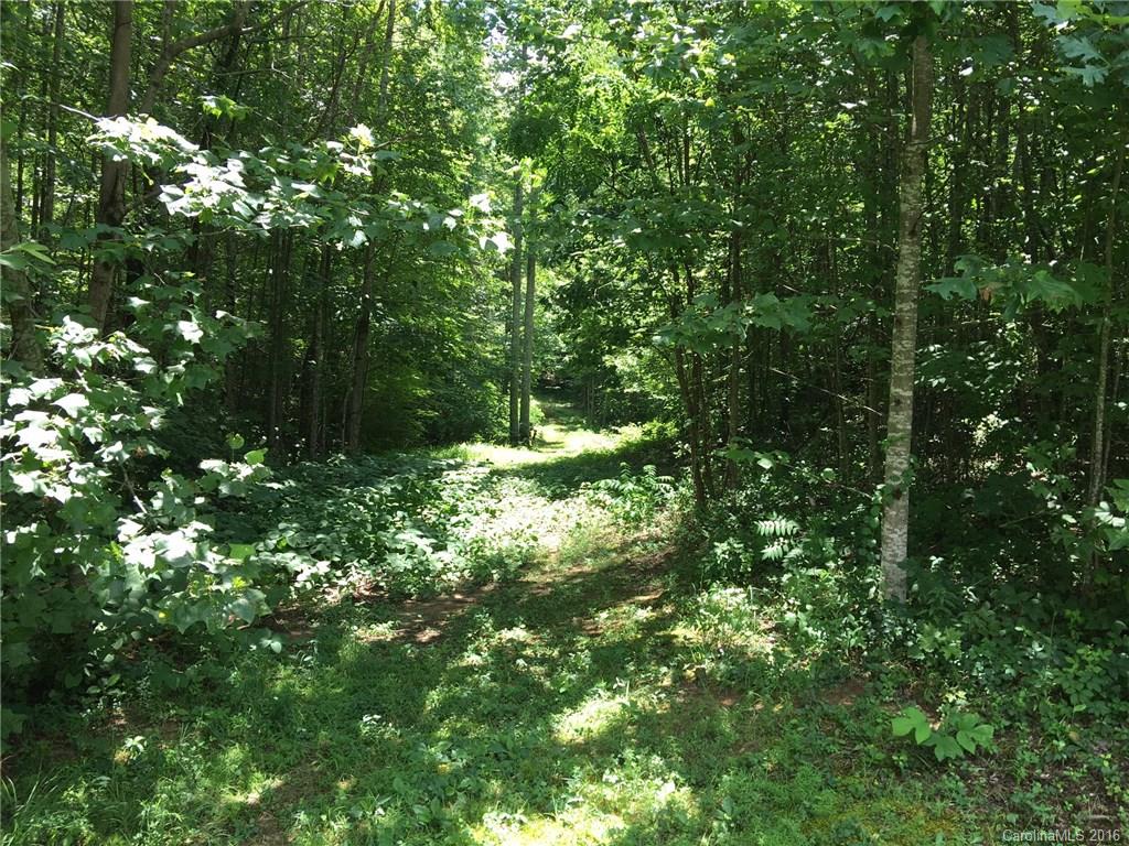 Dunroy On Rutledge - Land