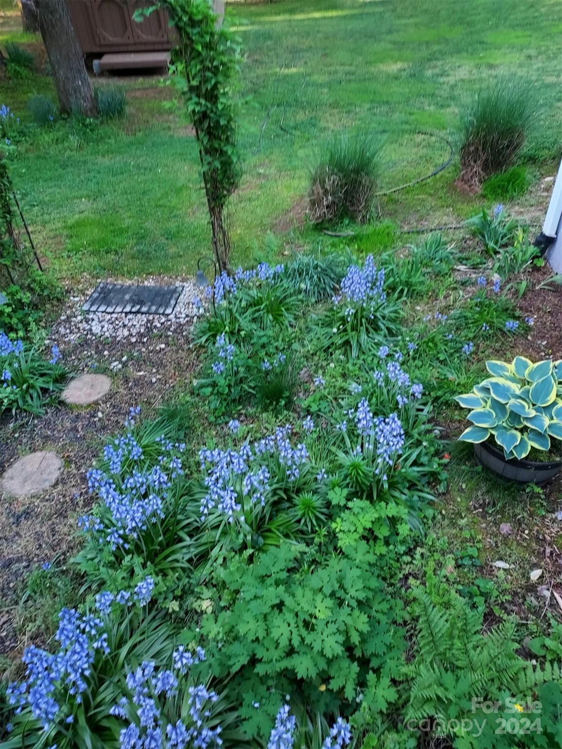 Hunters Ridge - Residential