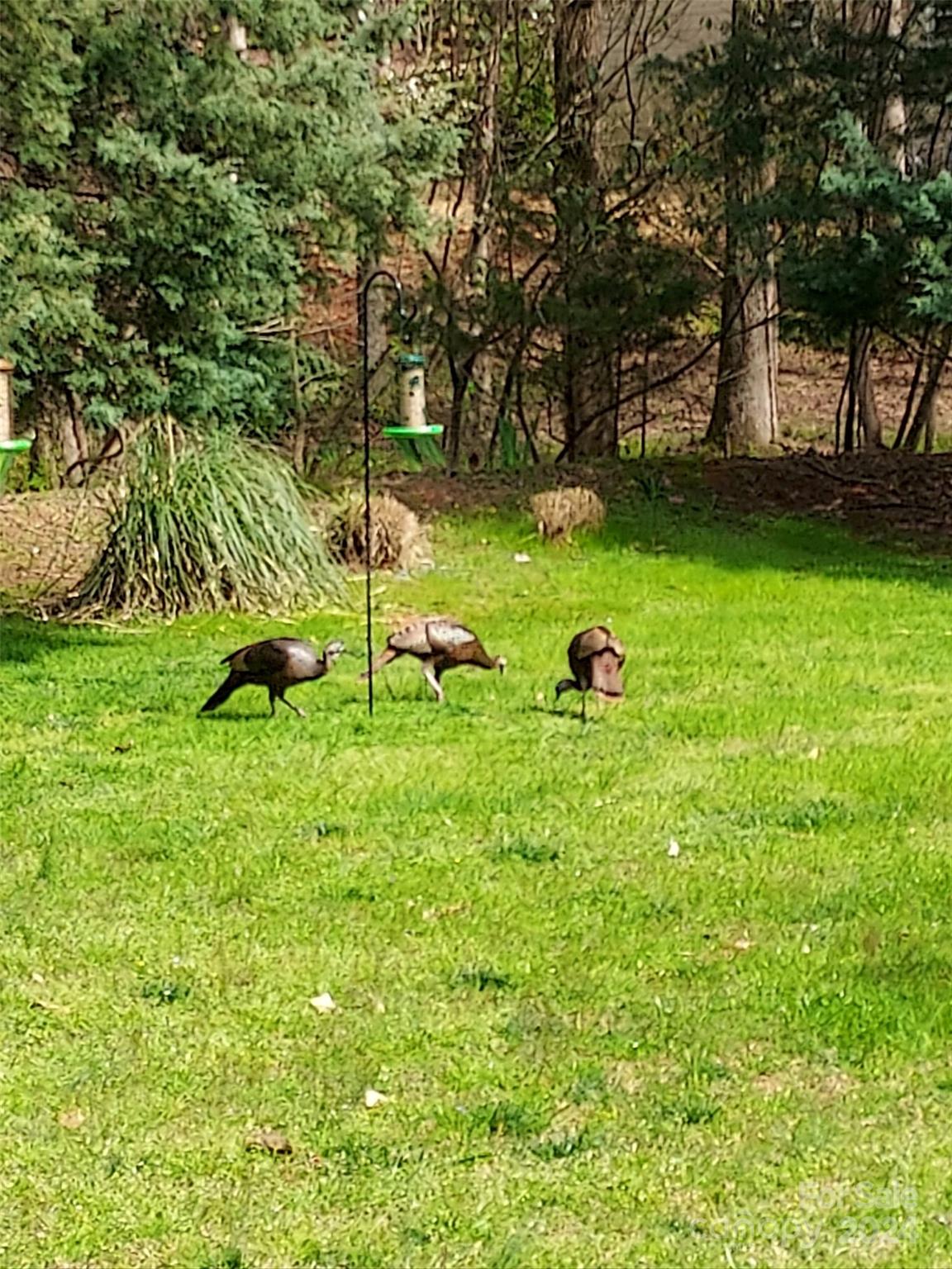 Hunters Ridge - Residential