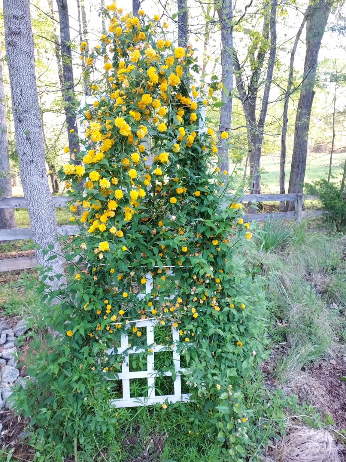 Hunters Ridge - Residential