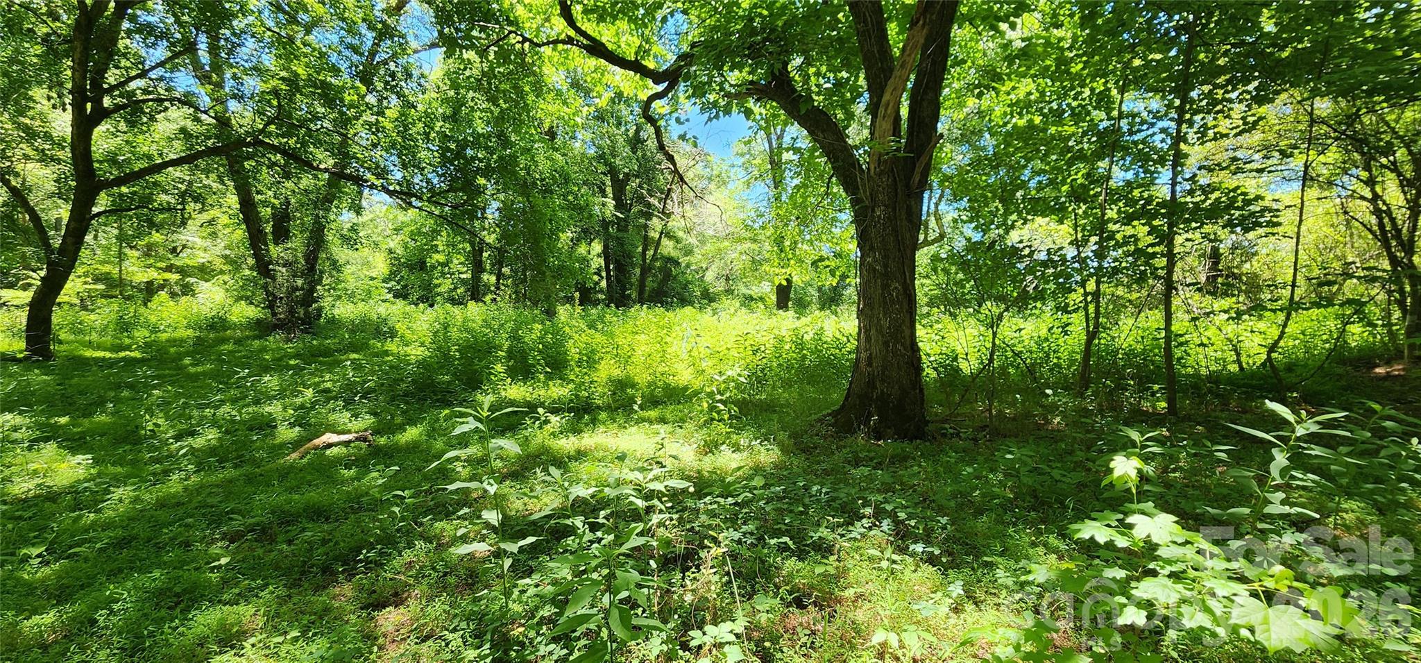171 Bambi Lane