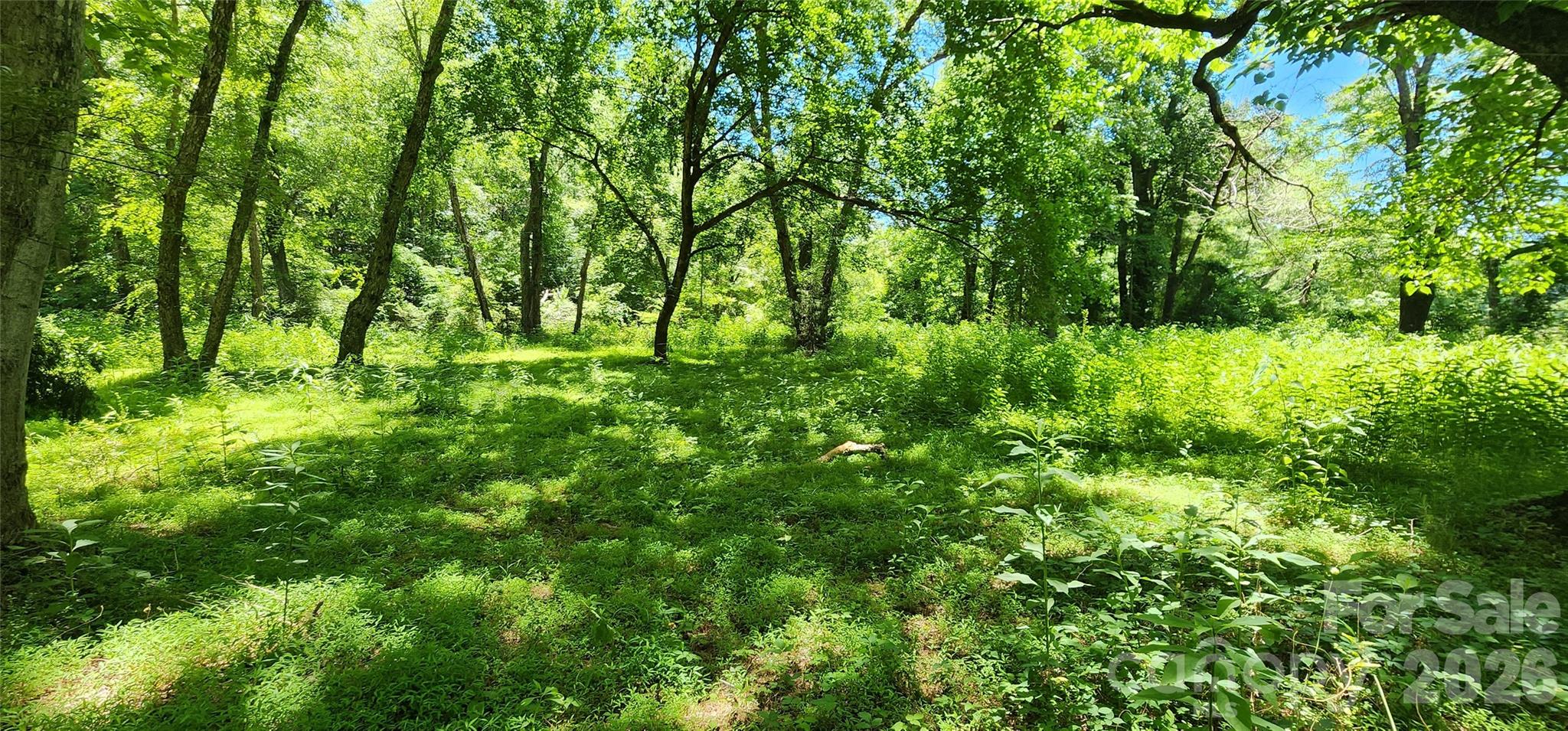 171 Bambi Lane